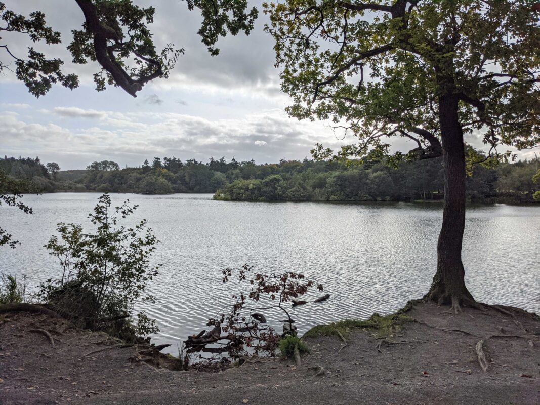 photo of hillsborough lake